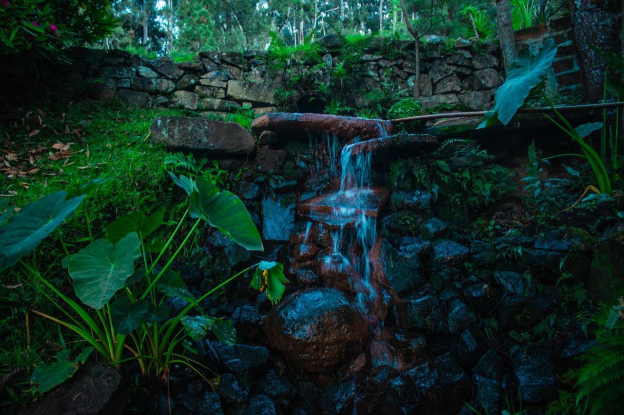 BusHome Gramado uma casa sobre rodas Hospedagem Ônibus Exterior foto